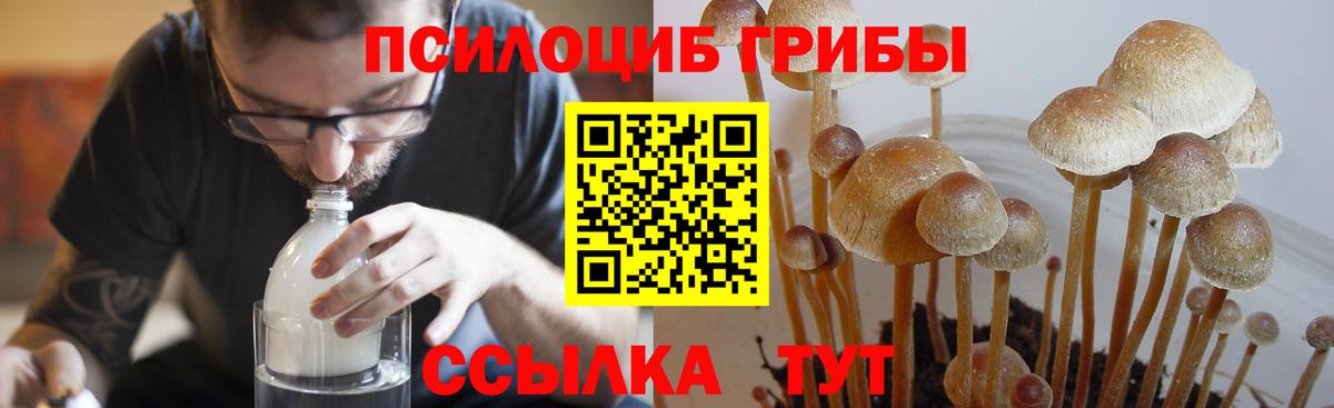 Можайск  Галлюциногенные грибы GOLDEN TEACHER  Вход с VPN 